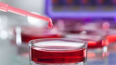 research-4-370×209.jpg research-4-370x209.jpg